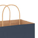 250 Paper Bags with Handles in Blue (18 x 8 x 22cm) - Little and Giant Explorers vidaXL