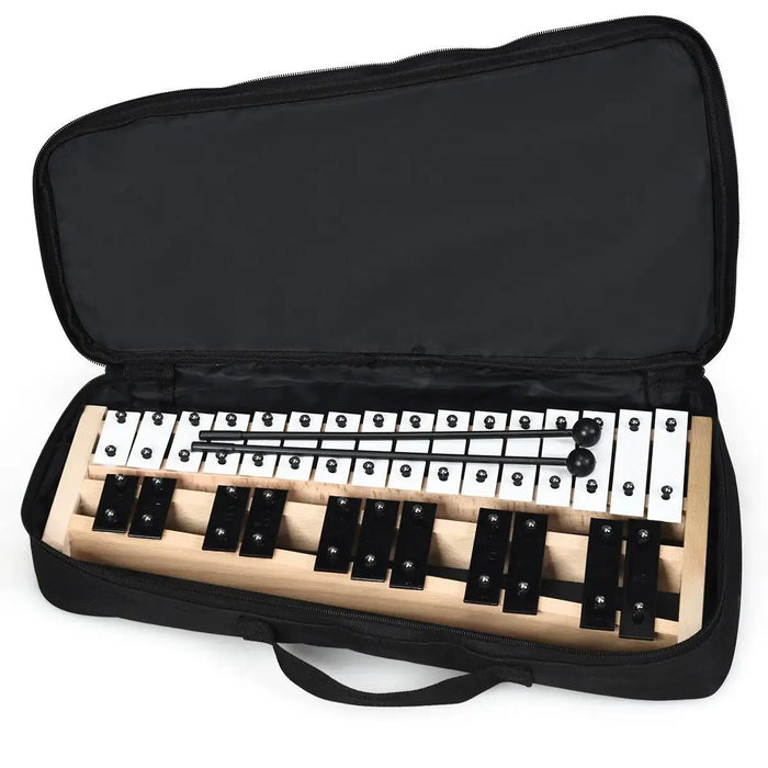 25-note glockenspiel with white and black metal bars in a black soft carrying case with two black mallets