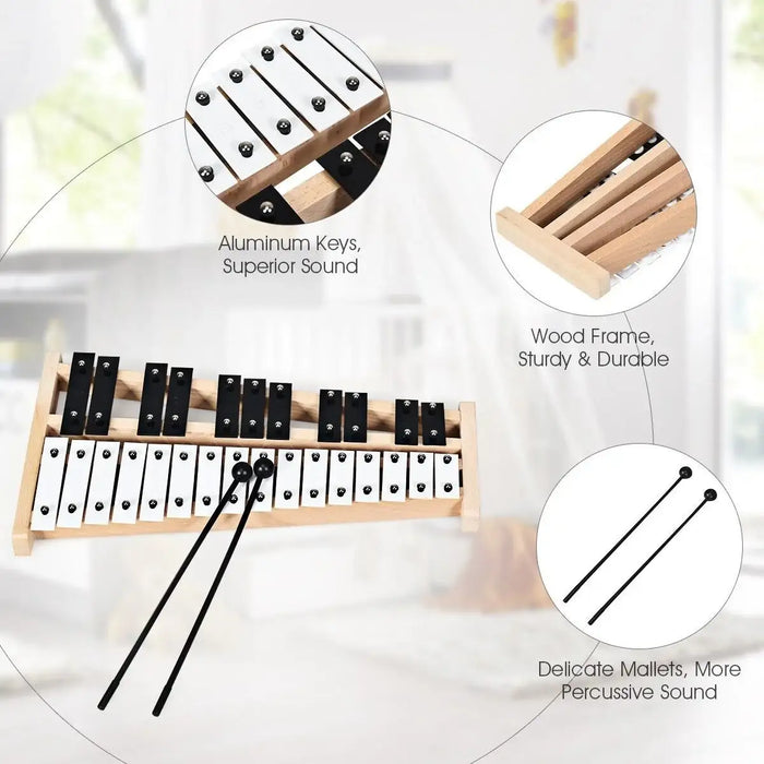 27-note glockenspiel with aluminum keys, wood frame, and two black mallets on blurred background
