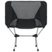 2x Folding Camping Chairs with Carry Bag 54x50x65 cm Aluminium - Little and Giant Explorers vidaXL