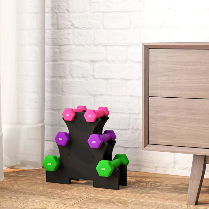 2x1kg, 2x2kg, 2x3kg Dumbbells Set with Dumbbell Rack - Little and Giant Explorers SPORTNOW