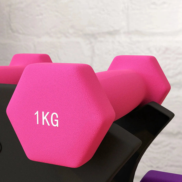 2x1kg, 2x2kg, 2x3kg Dumbbells Set with Dumbbell Rack - Little and Giant Explorers SPORTNOW