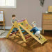 3-in-1 Wooden Multi-Colour Pikler Triangle Set - Little and Giant Explorers AIYAPLAY