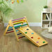 3-in-1 Wooden Multi-Colour Pikler Triangle Set - Little and Giant Explorers AIYAPLAY