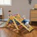 3-in-1 Wooden Multi-Colour Pikler Triangle Set - Little and Giant Explorers AIYAPLAY