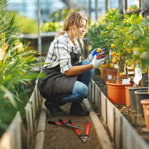 3-Piece Garden Cutting Set – Hedge Shears, Lopper and Secateurs | Rust-Resistant Blades OUTSUNNY - Little and Giant Explorers Outsunny