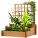3-Tier Raised Garden Bed | Back Trellis and Three Planter Boxes - Little and Giant Explorers Outsunny