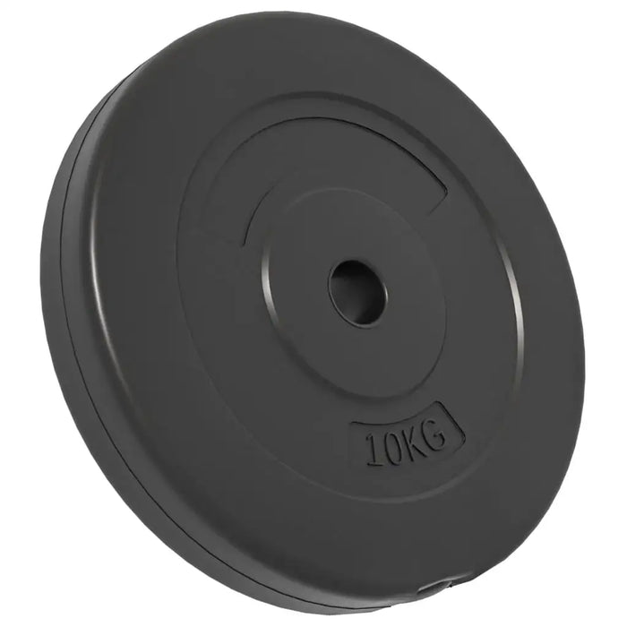 4 Cement Weight Plates 30kg - Little and Giant Explorers vidaXL