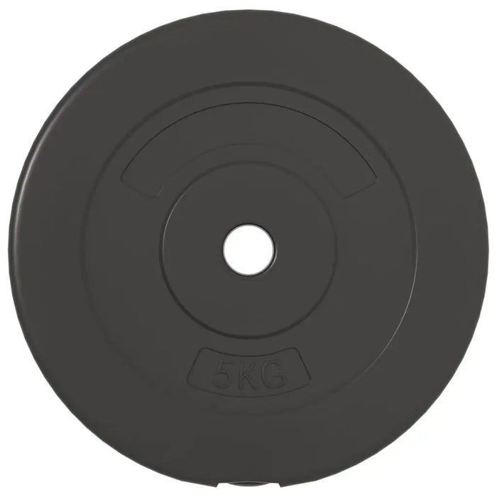 4 Cement Weight Plates 30kg - Little and Giant Explorers vidaXL