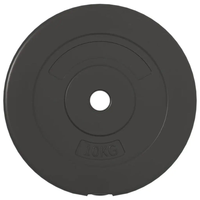 4 Cement Weight Plates 30kg - Little and Giant Explorers vidaXL