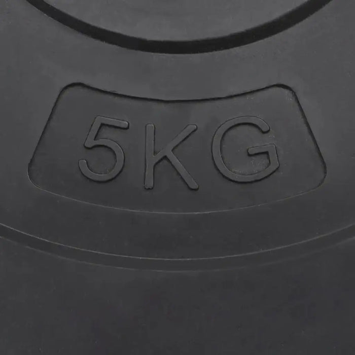 4 Cement Weight Plates 30kg - Little and Giant Explorers vidaXL