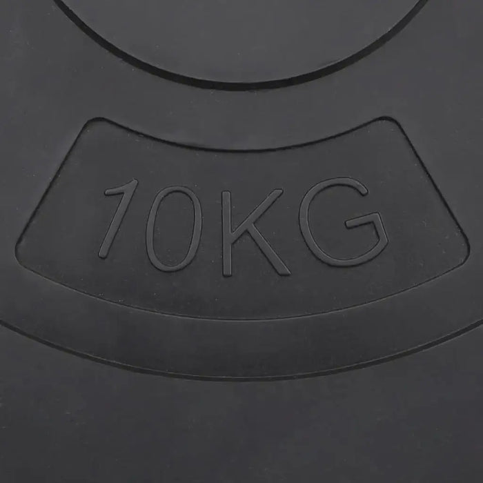 4 Cement Weight Plates 30kg - Little and Giant Explorers vidaXL