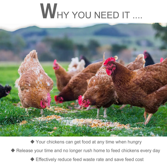 Free-range chickens eating scattered feed on green grass with blurred hills in background
