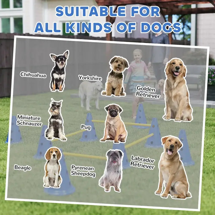 4-Piece Pet Agility Training Set - Blue | Adjustable Dog Jumps with Carry Bag PAWHUT - Little and Giant Explorers PawHut