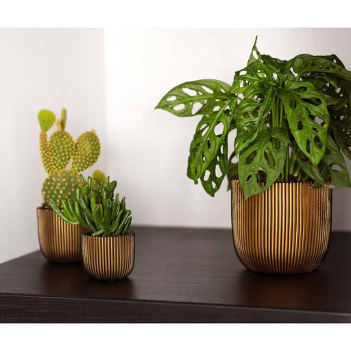 4 Piece Planter Set in Groove Gold - Little and Giant Explorers Capi