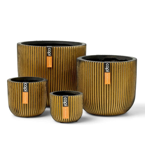 4 Piece Planter Set in Groove Gold - Little and Giant Explorers Capi