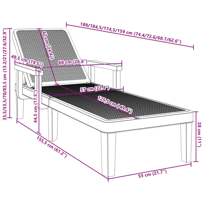 4-Way Height Adjustable Sun Lounger 155.5x57x28 cm Polypropylene - Little and Giant Explorers vidaXL