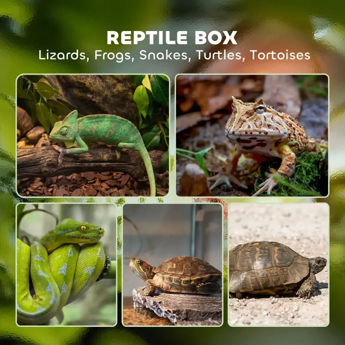 40L Reptile Terrarium – Glass Tank | Lockable Mesh Lid, Ventilation and Drainage Holes PAWHUT - Little and Giant Explorers PawHut