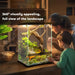 40L Reptile Terrarium – Glass Tank | Lockable Mesh Lid, Ventilation and Drainage Holes PAWHUT - Little and Giant Explorers PawHut