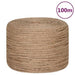 4mm Jute Rope - 100m - Little and Giant Explorers vidaXL