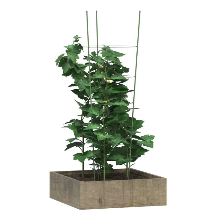 5 Garden Plant Supports with 4 Rings in Green and Steel 90cm - Little and Giant Explorers vidaXL