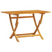 5-Piece Garden Dining Set | Foldable Natural Wood with Space-Saving Design for 4 People - Little and Giant Explorers vidaXL