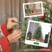 5ft Full Spruce Artificial Christmas Tree | Realistic Xmas Tree with 1375 Tips HOMCOM - Little and Giant Explorers HOMCOM