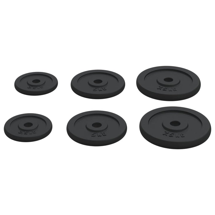 6 Cast Iron Weight Plates 30kg - Little and Giant Explorers vidaXL