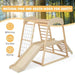 Natural wooden indoor jungle gym with slide, rope ladder, monkey bars, BPA-free, sturdy, durable.