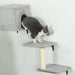 6-Piece Cat Wall Shelves Set with Condo in Grey - Little and Giant Explorers PawHut