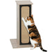 63cm Cat Scratching Post – Tall Dual-Texture Post | Sisal and Corrugated Cardboard PAWHUT - Little and Giant Explorers PawHut
