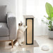 63cm Cat Scratching Post – Tall Dual-Texture Post | Sisal and Corrugated Cardboard PAWHUT - Little and Giant Explorers PawHut
