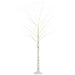 6FT Artificial White Birch Tree with Warm White Pre-Lit LED Light - Little and Giant Explorers HOMCOM