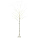 6FT Artificial White Birch Tree with Warm White Pre-Lit LED Light - Little and Giant Explorers HOMCOM