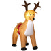 6FT Christmas Inflatable Reindeer with LED Lights - Little and Giant Explorers HOMCOM