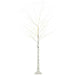 6FT Artificial White Birch Tree with Warm White Pre-Lit LED Light - Little and Giant Explorers HOMCOM