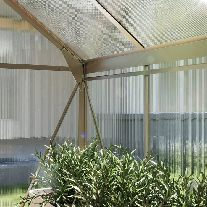 Green plants in front of a transparent greenhouse with metal frame