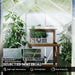 Greenhouse with plants inside, featuring transparent polycarbonate panels and aluminum alloy frame.
