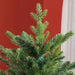 7FT Bare Artificial Christmas Tree with 2445 Tips in Green - Little and Giant Explorers HOMCOM