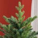 7FT Bare Artificial Christmas Tree with 2445 Tips in Green - Little and Giant Explorers HOMCOM