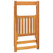 8 Folding Garden Chairs in Solid Wood Acacia - Little and Giant Explorers vidaXL