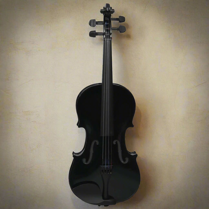 Beginners Violin Full Set with Bow and Chin Rest in Black 4/4