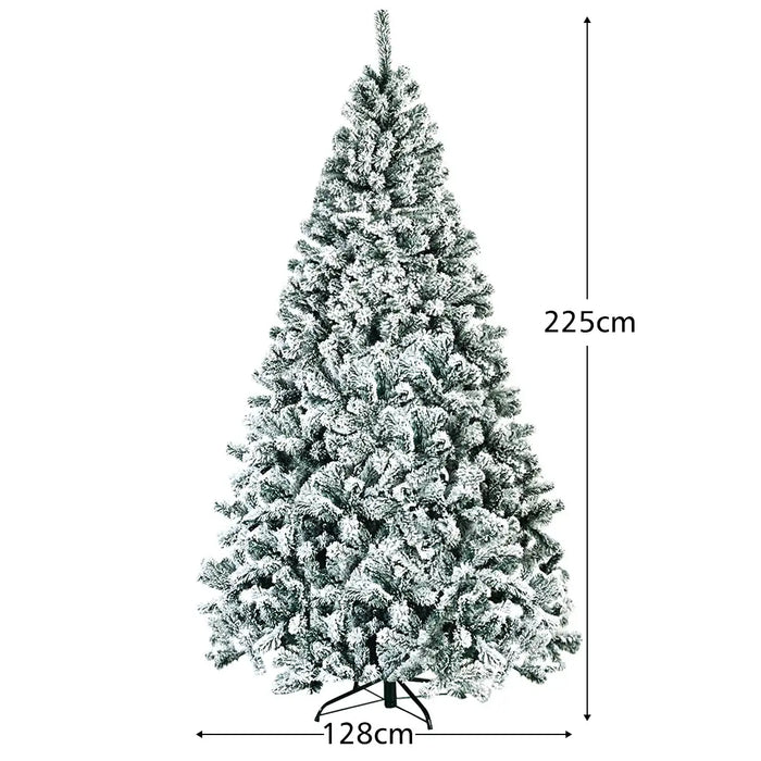 Fir tree with measurements on a white background