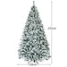 Fir tree with measurements on a white background