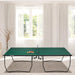 Green 9ft professional table tennis table with paddles, indoor game room setting, sunlight window