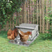 Two brown chickens feeding from a metal chicken feeder in a green garden with wooden fence and leafy plants