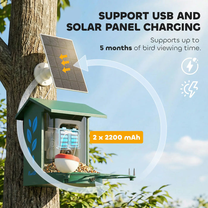 Smart Bird Feeder with Camera | 2K AI Bird Identification and Solar Power PAWHUT