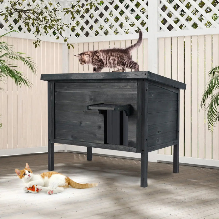 Grey outdoor insulated cat house with two kittens, one on top and one playing below on a wooden deck