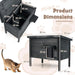 Outdoor insulated feral cat house in grey with detailed product dimensions and a kitten beside it