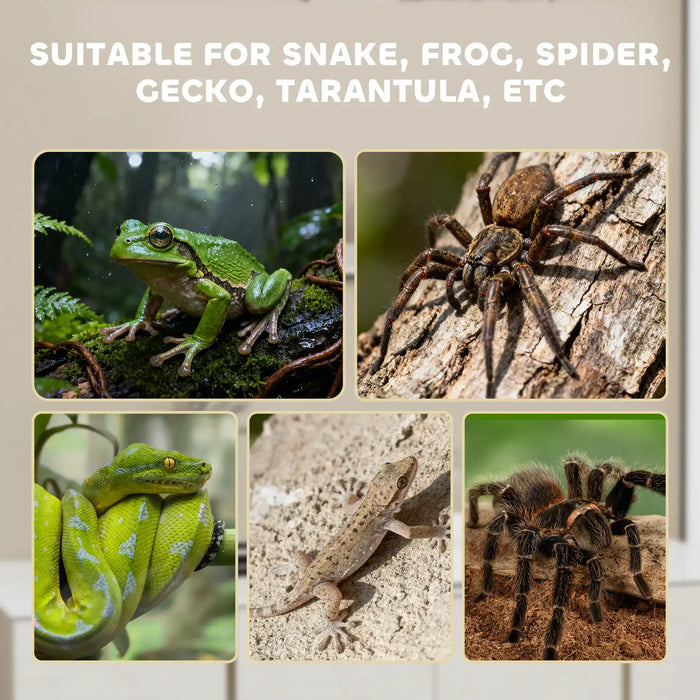 Collage of various animals including a frog, spider, gecko, and tarantula with text indicating suitability for these animals.